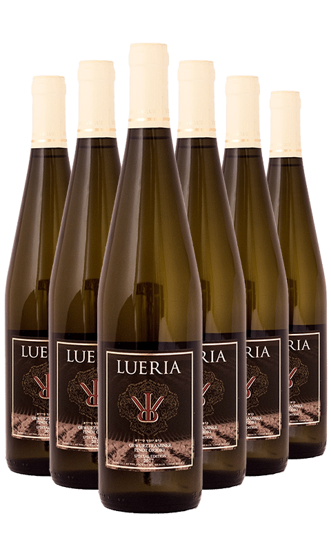 שישיית לוריא ספיישל אדישן לבן